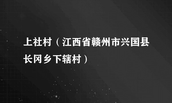 上社村（江西省赣州市兴国县长冈乡下辖村）