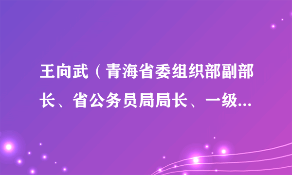 王向武（青海省委组织部副部长、省公务员局局长、一级巡视员）