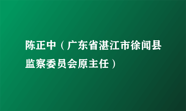 陈正中（广东省湛江市徐闻县监察委员会原主任）