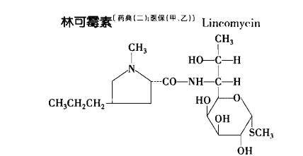 林可酰胺类