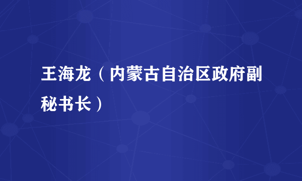 王海龙（内蒙古自治区政府副秘书长）