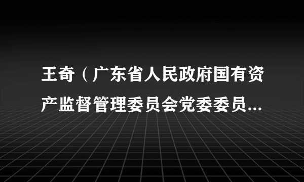 王奇（广东省人民政府国有资产监督管理委员会党委委员、副主任、一级巡视员）