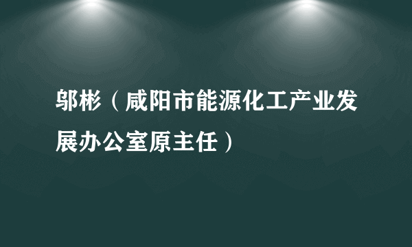 邬彬（咸阳市能源化工产业发展办公室原主任）