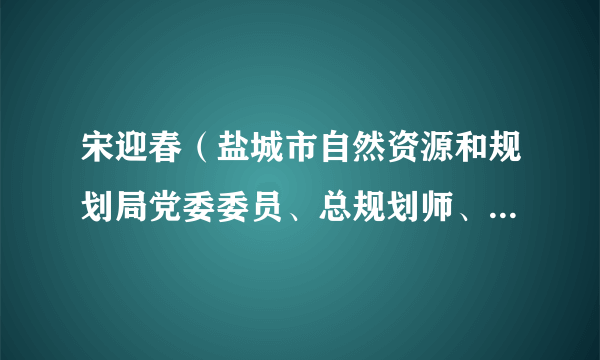 宋迎春（盐城市自然资源和规划局党委委员、总规划师、二级调研员）