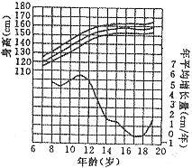 平均增长量