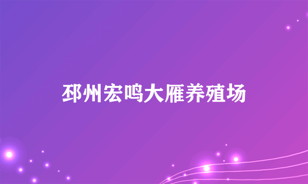 邳州宏鸣大雁养殖场