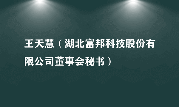 王天慧（湖北富邦科技股份有限公司董事会秘书）