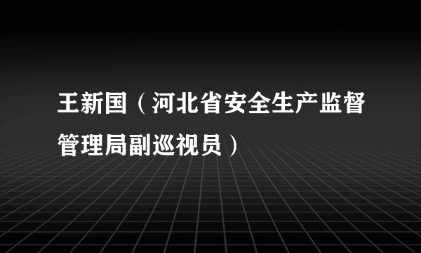 王新国（河北省安全生产监督管理局副巡视员）