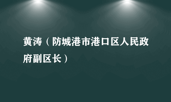 黄涛（防城港市港口区人民政府副区长）