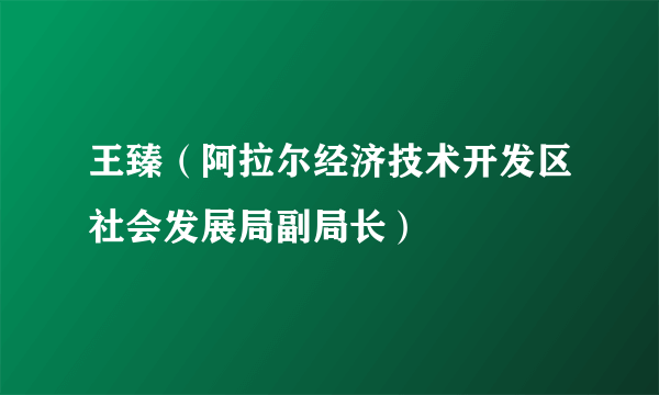 王臻（阿拉尔经济技术开发区社会发展局副局长）