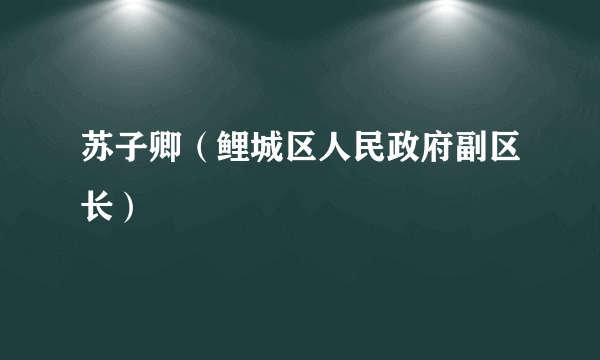 苏子卿（鲤城区人民政府副区长）