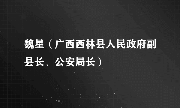 魏星（广西西林县人民政府副县长、公安局长）