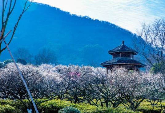 超山风景区