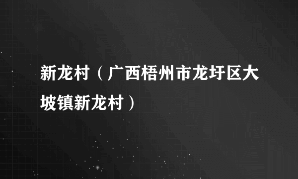 新龙村（广西梧州市龙圩区大坡镇新龙村）