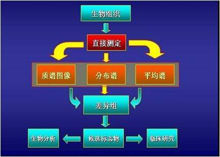 质谱成像