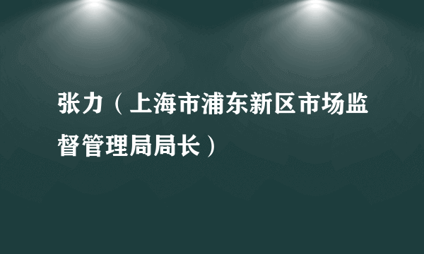 张力（上海市浦东新区市场监督管理局局长）