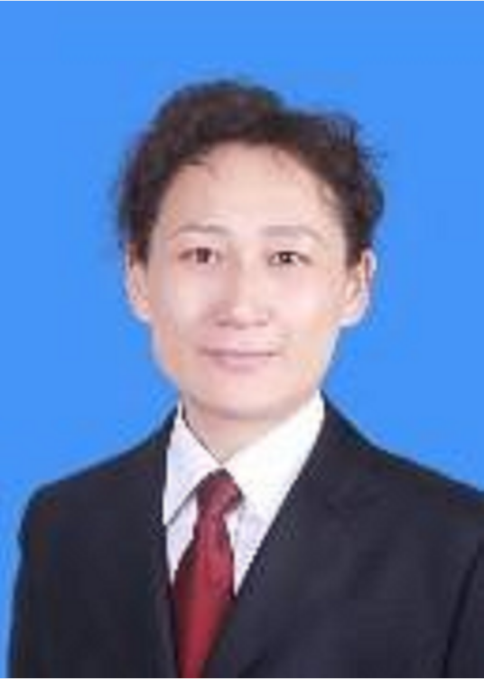 李琳（安徽省亳州市退役军人事务局原局长）