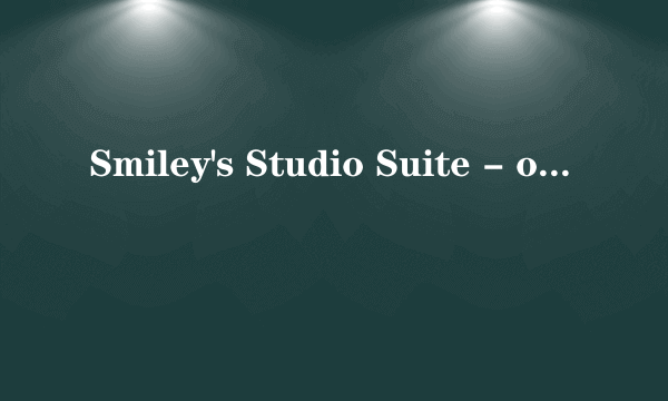 Smiley's Studio Suite - on Toronto Islands