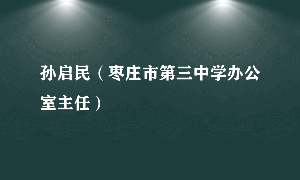 孙启民（枣庄市第三中学办公室主任）