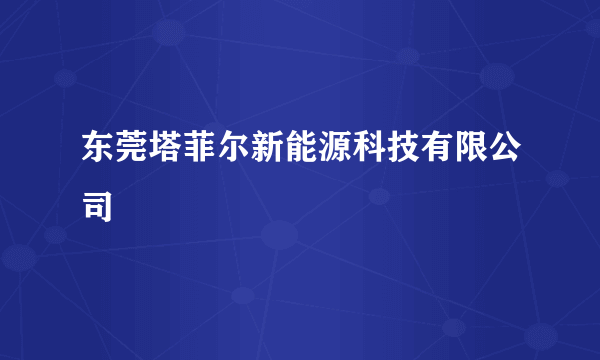 东莞塔菲尔新能源科技有限公司