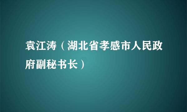 袁江涛（湖北省孝感市人民政府副秘书长）