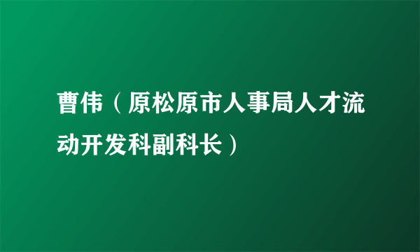 曹伟（原松原市人事局人才流动开发科副科长）