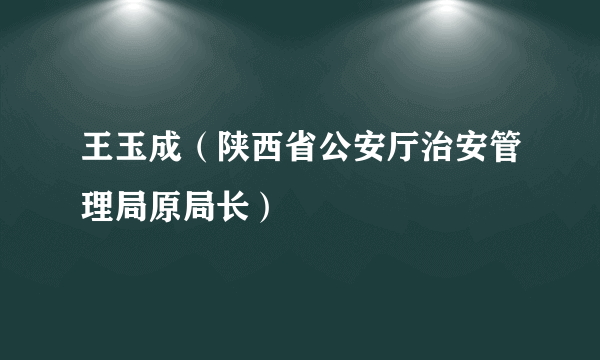 王玉成（陕西省公安厅治安管理局原局长）