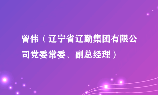 曾伟（辽宁省辽勤集团有限公司党委常委、副总经理）