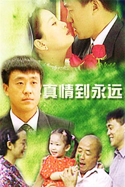 真情到永远（2002年李妮执导的乡村剧）