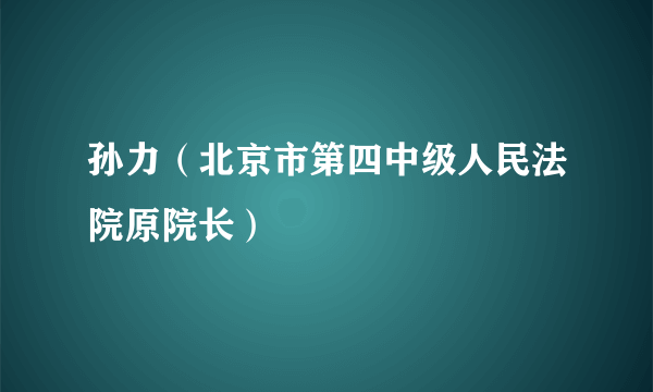 孙力（北京市第四中级人民法院原院长）