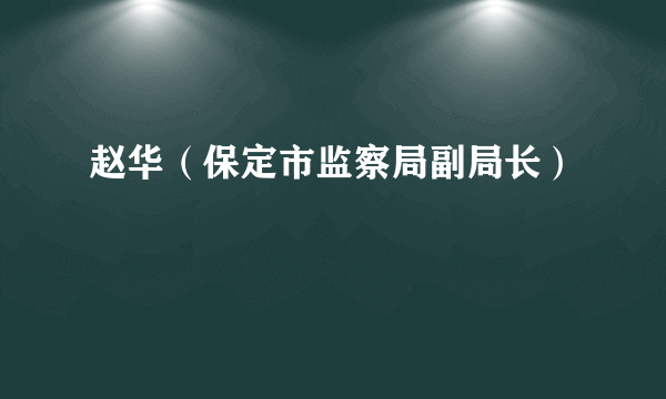 赵华（保定市监察局副局长）