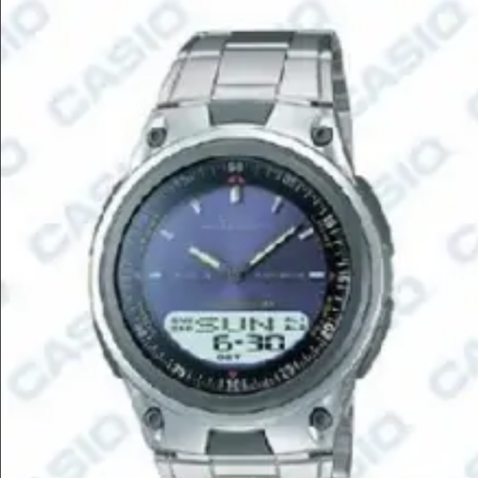 CASIO AW-80D-2AV