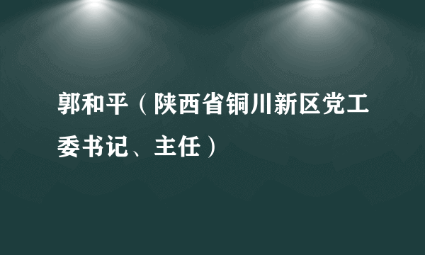 郭和平（陕西省铜川新区党工委书记、主任）