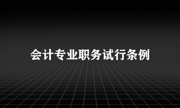 会计专业职务试行条例