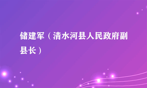 储建军（清水河县人民政府副县长）