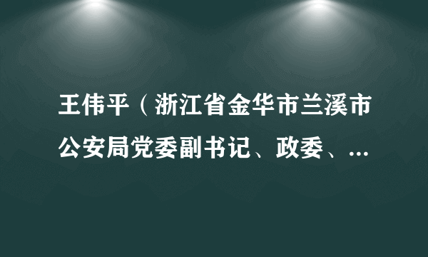 王伟平（浙江省金华市兰溪市公安局党委副书记、政委、警务保障处主任）