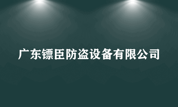 广东镖臣防盗设备有限公司