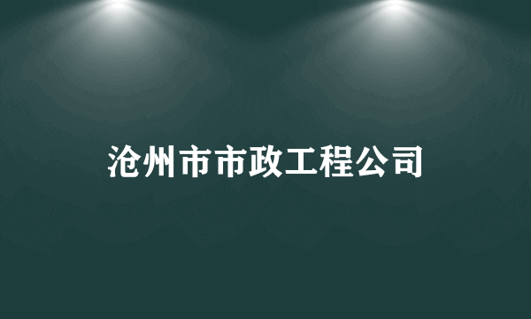 沧州市市政工程公司