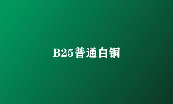 B25普通白铜