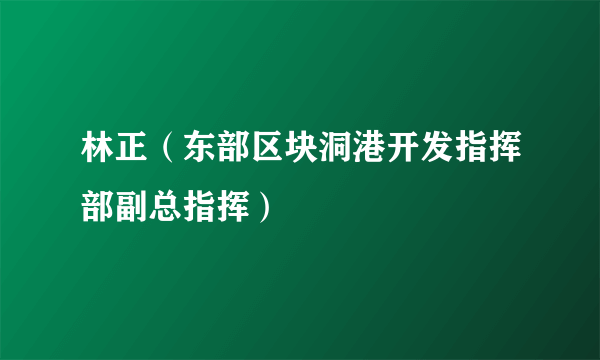 林正（东部区块洞港开发指挥部副总指挥）