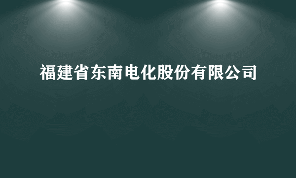 福建省东南电化股份有限公司