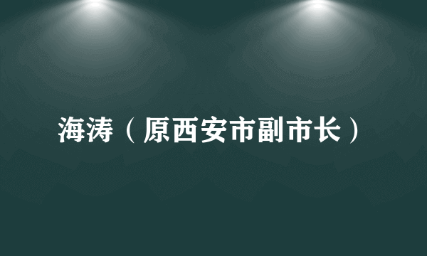 海涛（原西安市副市长）