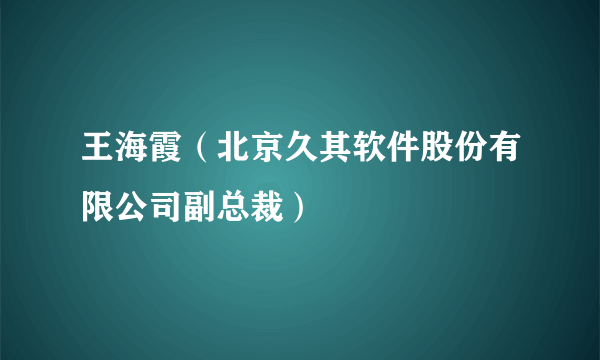 王海霞（北京久其软件股份有限公司副总裁）