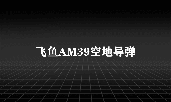 飞鱼AM39空地导弹