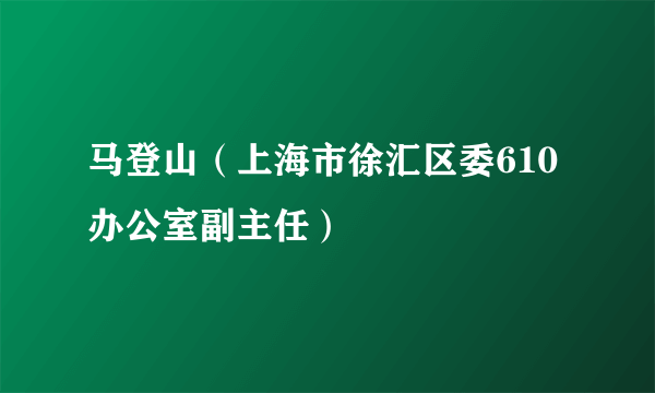 马登山（上海市徐汇区委610办公室副主任）