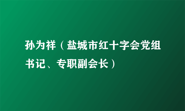 孙为祥（盐城市红十字会党组书记、专职副会长）