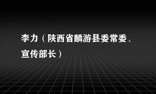 李力（陕西省麟游县委常委、宣传部长）