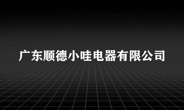 广东顺德小哇电器有限公司