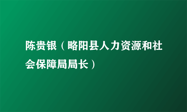 陈贵银（略阳县人力资源和社会保障局局长）