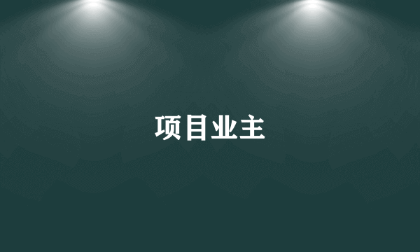 项目业主